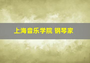 上海音乐学院 钢琴家